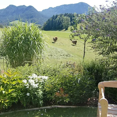 Ferienwohnung Haus Brandstaetter Grundlsee Exterior foto